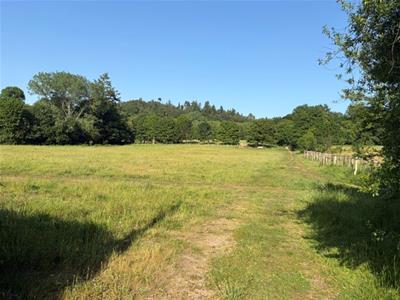 Picture 20